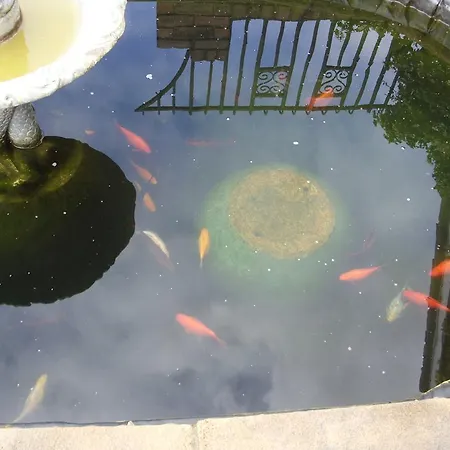 Pensjonat Field View