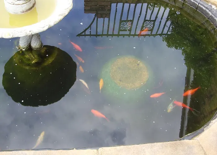 Guest house Field View